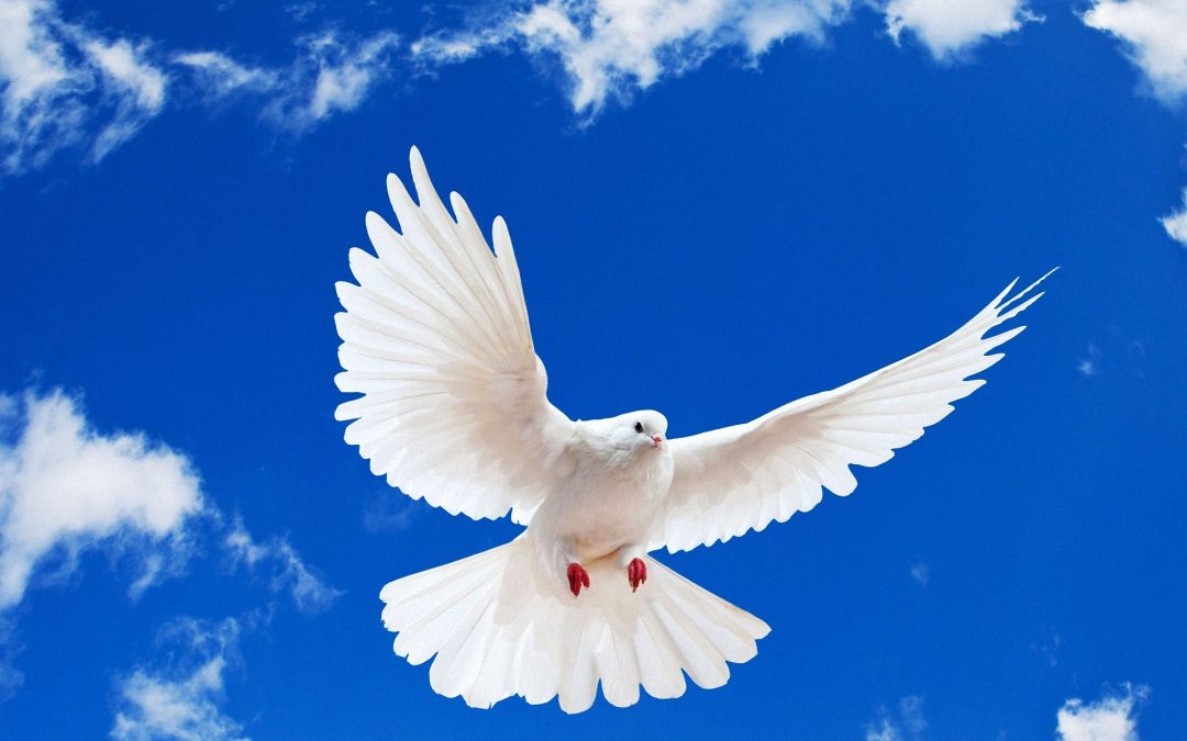 Does the Holy Spirit Convict A Believer?