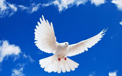 Does the Holy Spirit Convict A Believer?