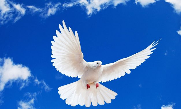 Does the Holy Spirit Convict A Believer?