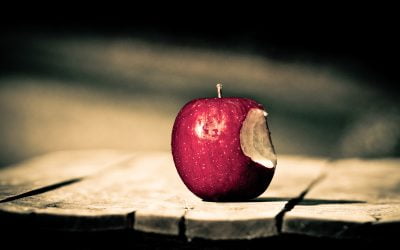 The Case of a Sinning Christian