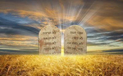 In Response to the Sabbath-Keepers